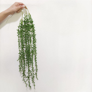 Piante Artificiali Pendenti in Plastica, Pianta delle Perle, Vegetazione Decorativa - Product Image 2
