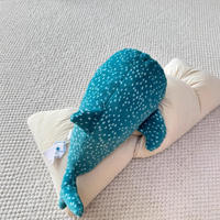 Peluche requin baleine Giffrey Jelly Cat britannique, jouet en peluche brodé, poupée de confort pour enfants, coton PP, cadeau d'anniversaire parfait, anti-stress marin