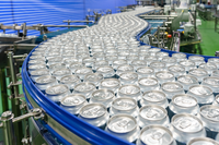 Oem Private Label Vruchtensap Mangodranken Normaal Blikje 330Ml Aluminium Blik