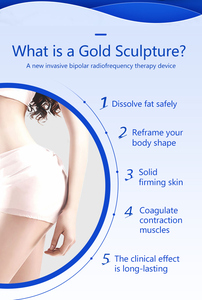 เครื่องสลายไขมันแบบตั้งโต๊ะ Peninsula Gold Micro-Sculpture ABS ช่วยสลายไขมันอย่างปลอดภัย ปรับรูปร่าง กระชับผิว เสริมความงาม - Product Image 2