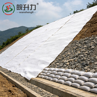 Géotextile à filament continu WSL 320g pour le drainage et la filtration des sous-drainages ferroviaires et le traitement des sols molles des autoroutes