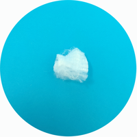 Raw Polyester Fiber Staple Material 1.2d 38mm