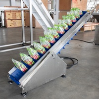 Machine d'étiquetage automatique durable et soignée à quatre côtés scellés pour aliments granulaires tels que le chocolat, les biscuits, les noix, les graines de melon, le riz