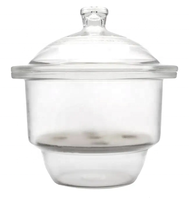 Verrerie de laboratoire Dessiccateur à vide en verre transparent ambré 150mm 210mm avec plaque en porcelaine
