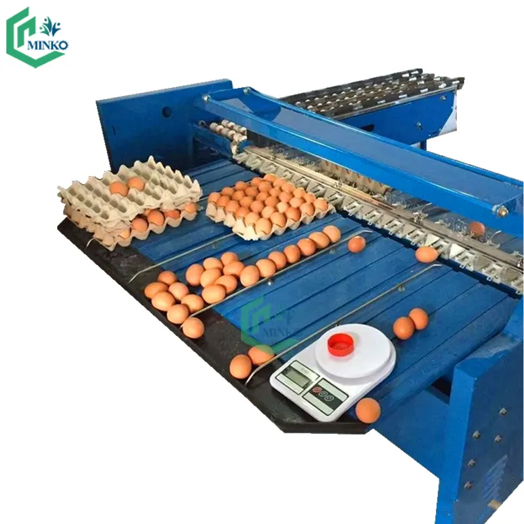 Máquina de classificação de ovos, coletor de ovos, classificador