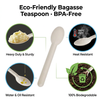Lot de couverts en bagasse de canne à sucre naturelle, vaisselle de qualité alimentaire, cuillères jetables pour pique-nique et camping en extérieur