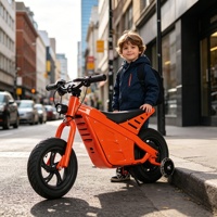 Motocicleta Eléctrica Infantil Todoterreno 2026, Venta al Por Mayor, con Certificación CE, Batería de Litio, Limitador de Velocidad para Niños, Elektro-Motocross