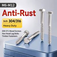 304 316 Stainless Steel Hexagon Wood Screws DIN 571 Metric Lag Bolts M6-M12 Anti-Rust Fasteners for Timber Construction