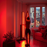 Appareil de luminothérapie LED à double puce, 200 LED, lampe infrarouge de bureau, soulagement de la douleur, soins de santé, panneau de taille moyenne, prise US