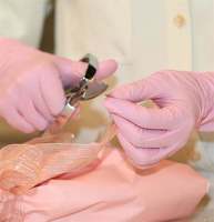 Gants en nitrile jetables épais de 4 mil, 100 pièces, sans latex, sans poudre, sans silicone, texture lisse pour usage dentaire/cuisine/médical