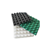 Planche de drainage en HDPE 8mm 10mm 12mm 16mm 20mm, plaque de drainage alvéolée pour toit, jardin, sous-sol