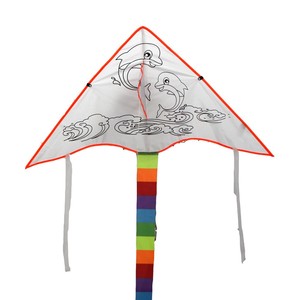 Juguetes educativos al por mayor easyying flying <span class=keywords><strong>cometa</strong></span> <span class=keywords><strong>de</strong></span> <span class=keywords><strong>traccion</strong></span> diy en blanco chino en venta <span class=keywords><strong>de</strong></span> weifang shandong china - Product Image 5