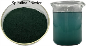 100% 純粋な天然工場価格バルク食品グレードスピルリナプラテンシス粉末60% 健康製品用 - Product Image 3