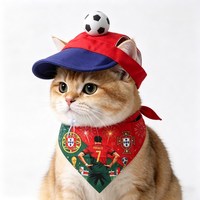 Ensemble de chapeaux et bandanas pour animaux de compagnie personnalisés Coupe du Monde de Football, chapeau de football 3D mignon, différentes couleurs, bandana pour animaux de compagnie