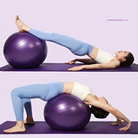 Ballon de gym noir Core Balance avec pompe 45/55/65/75/85cm, ballon d'exercice pour renforcer le tronc et la stabilité, turquoise, violet, bleu