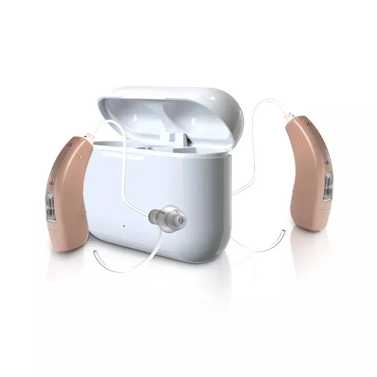 難聴と高齢者のための無料のOEMロゴ印刷デジタルBTE補聴器充電式サウンドアンプ