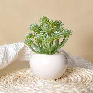 Vaso in Ceramica Smaltata Grande per Piante <span class=keywords><strong>Succulente</strong></span>, Ornamento Decorativo Creativo per la Casa - Product Image 2