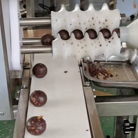 Boulettes de fromage, boulettes de pâte de haricots, boulettes de sésame, boulettes de pâte de pommes de terre, boulettes de biscuits, machine à rouliner les boulettes de riz