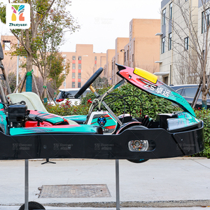 Zhuoyuan Commercial Go Kart para niños Adultos Alquiler Go Carts Gas Powered Petrol Recreational Karting Car para el lugar - Product Image 5