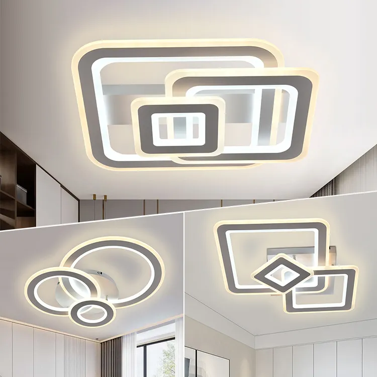 Minimalist Dimmable Acrylic Art Mount Decorative Fancy House Lighting Modern Restaurant LED Ceiling Lights