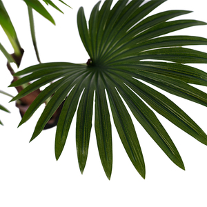 Bán buôn nhân tạo Fan <span class=keywords><strong>Palm</strong></span> <span class=keywords><strong>Tree</strong></span> 90cm nhựa vải và PE Chất liệu ô liu và lá loại cây nhân tạo - Product Image 6