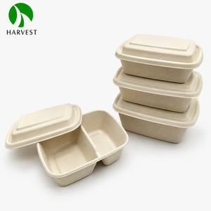 Boîte alimentaire rectangulaire de 700 ml <span class=keywords><strong>en</strong></span> bagasse de canne à sucre biodégradable avec couvercle <span class=keywords><strong>en</strong></span> PP - Product Image 1