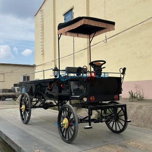 Cercueil électrique noir haut de gamme, style antique, pour transport funéraire, à vendre - Product Image 3