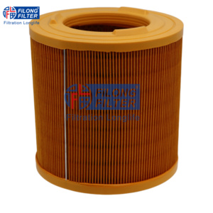Filtro de Aire Directo de Fábrica FA-9021, 16546-MA70A, 16546-MA70C, C18149 A-2020 - Product Image 5