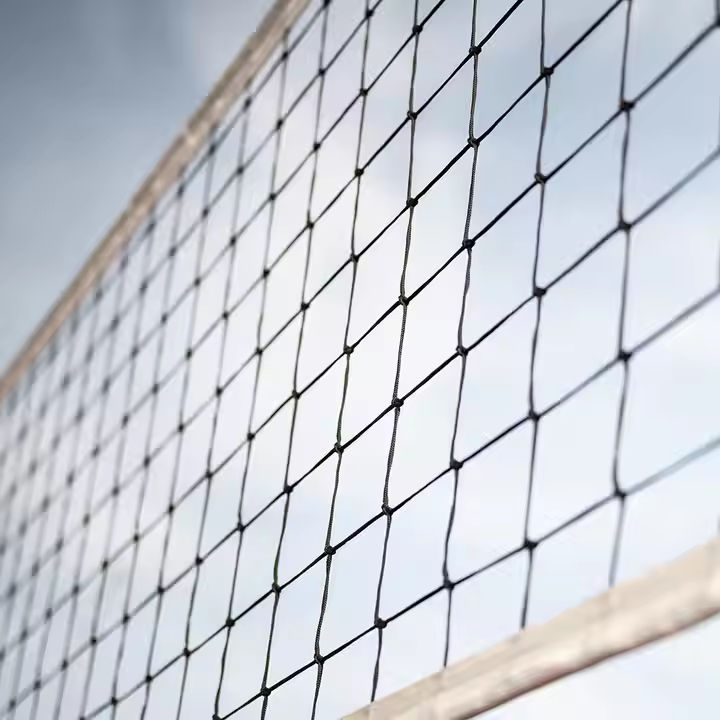 The Most Popular Outdoor Sport Household