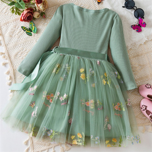 1 pezzo <span class=keywords><strong>di</strong></span> <span class=keywords><strong>Tulle</strong></span> ricamato floreale con etichetta privata primavera autunno <span class=keywords><strong>vestiti</strong></span> per neonati manica lunga vestito per bambine - Product Image 6