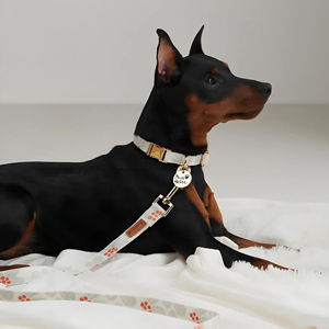 Collar de Perro de Lujo, Diseño Elegante, Talla M, de Algodón, Cómodo, Suave, Personalizado, Duradero, con Luces, Ajustable, con Estampado - Product Image 4