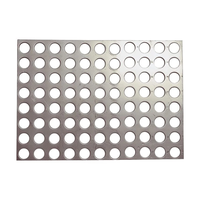 Plaque de treillis perforé en acier inoxydable, anti-corrosion, épaisseur personnalisée, filet perforé