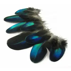 A buon mercato di vendita di Stile Più naturale del pavone blu della miscela Piume per costumi di Festival Fly tying decorazione