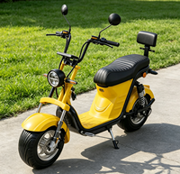 Trottinette Électrique 1000W en Gros, Batterie Lithium, Trottinette Électrique Intelligente à Deux Roues, Deux Places, Charge 200KG, Mobilité Urbaine pour Adultes