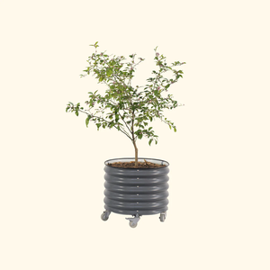 Zincato metallo ferro esterno <span class=keywords><strong>giardino</strong></span> ovale rialzato letto da <span class=keywords><strong>giardino</strong></span> fioriere vasi per <span class=keywords><strong>giardino</strong></span> esterno fioriera letto Kit - Product Image 3