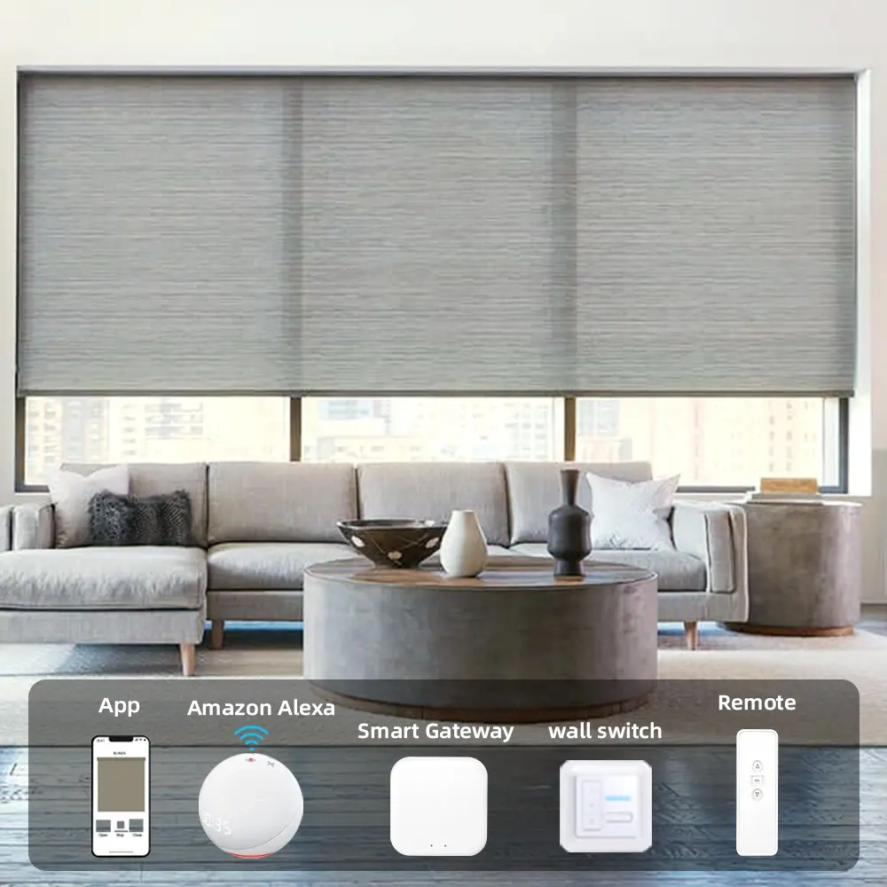 Motorized Remote Window Roller Blinds Shades Cordless Home Smart Wifi Automatic Electric Roller Blinds