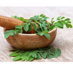 Fournisseurs de gros Poudre de feuilles de Moringa avec protéines et vitamines pour la santé Poudre par fabricant indien de qualité supérieure - Product Image 3