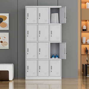Casier métallique à 12 portes en stock, <span class=keywords><strong>armoire</strong></span> de rangement en acier pour école, gymnase, usine, vente en gros, MOQ 30, échantillon et petites commandes acceptables - Product Image 1