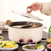 Casserole électrique pour dortoir, poêle électrique, cuisinière électrique antiadhésive, casserole électrique multifonctionnelle