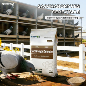 Mangeoire pour animaux de compagnie, vente en gros, qualité d'alimentation pour nouveauté - Product Image 5