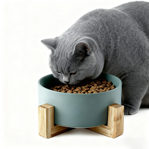 Mangkuk pemberi makan keramik kucing anjing peliharaan dengan bingkai bambu desain bulat warna-warni bentuk 13cm * 5cm penggunaan dalam ruangan - Product Image 1