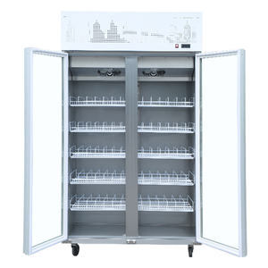 Congelador comercial de gama alta de gran capacidad refrigerado por aire sin escarcha Pantalla de helado vertical blanco negro dos puertas de vidrio - Product Image 2