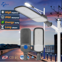 Lampadaire extérieur haute luminosité 100W IP65 étanche avec support réglable pour éclairage secondaire routier