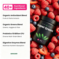 Super Greens Poudre Instantanée Probiotiques et Enzymes pour Adultes