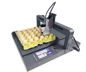 Top Selling Lot Number Printing Machine Inkjet Printer For Egg Expiry Date Printer Factory