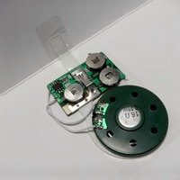 Module de son de haute qualité pour carte de voeux puces de mélodie Module vocal préenregistré puce IC de musique enregistrable