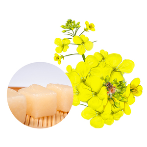 All'ingrosso cristalli grezzi <span class=keywords><strong>di</strong></span> colza <span class=keywords><strong>miele</strong></span> <span class=keywords><strong>miele</strong></span> puro <span class=keywords><strong>miele</strong></span> <span class=keywords><strong>miele</strong></span> naturale - Product Image 2