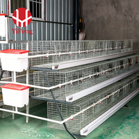 Cage à poussins de type A, système de cage galvanisée durable conçu pour les projets d'élevage de poulets, fabricant d'équipements d'élevage avicole