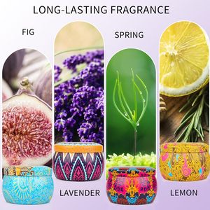 Thân Thiện Với Môi Sáp Đậu Nành Nến Trong Kim Loại Tin 4.4Oz Kích Thước Nhỏ Gọn Cho Lãng Mạn Quà Tặng & Tổ Chức Sự Kiện Trang Trí Nội Thất Tự Nhiên Nhà Ambiance Bộ Quà Tặng - Product Image 4