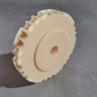 Pignon d'injection fendu en nylon Industries applicables Diamètre standard Nombre de dents Pas de chaîne et longueur Type personnalisable
